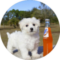 Murray Delorme Avatar